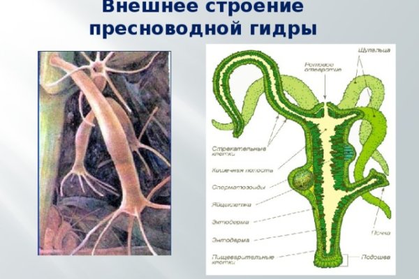 Кракен маркетплейс официальный сайт